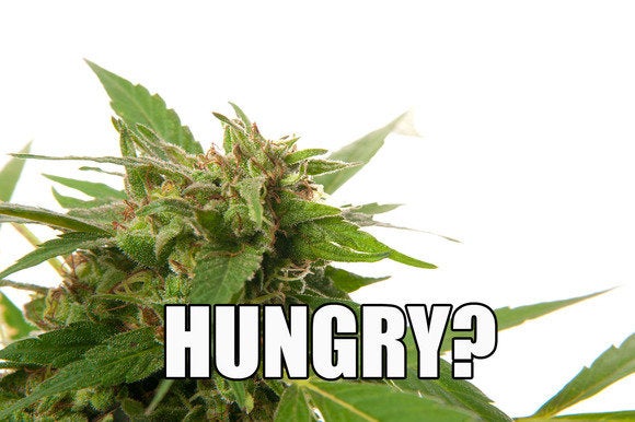 shutterstock weed meme
