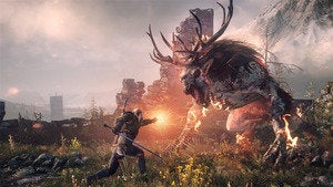 witcher 3 wild hunt