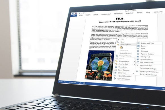 wordpdfs primary