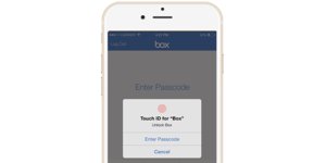 box touchid