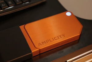 amplicity primary