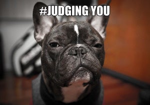 the list judgingyou