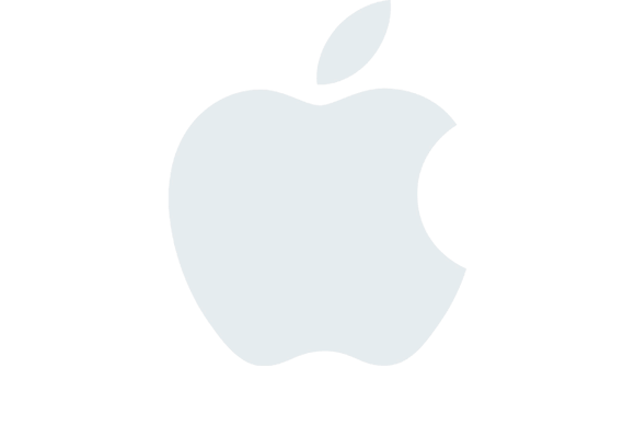 apple icon grey