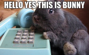 the list landlines bunny