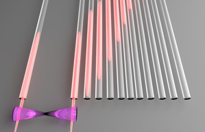 rmit quantum