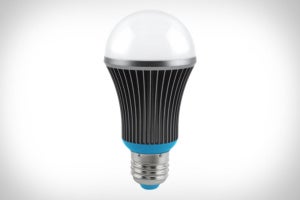 saffron drift light
