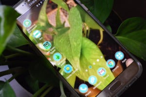 The 5 Android gardening apps you need this spring