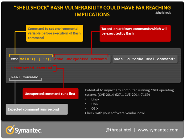 Execute shell command. Уязвимость Shellshock. Ботнет.